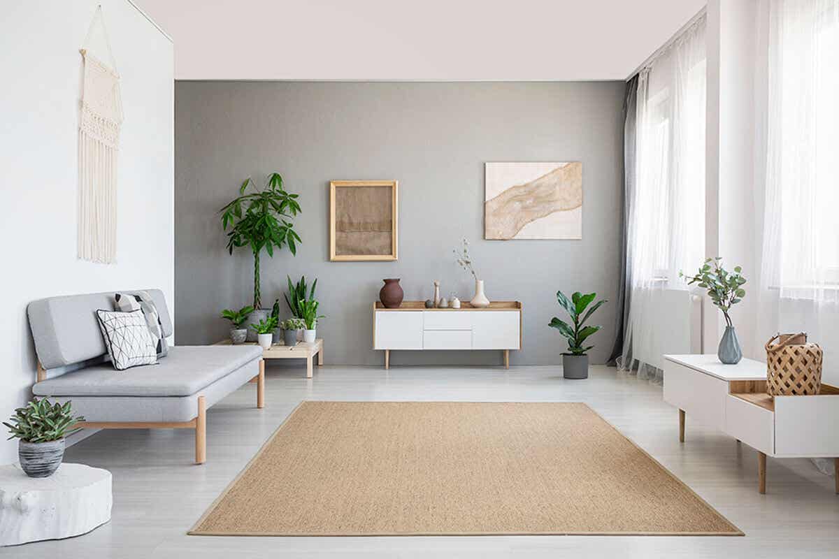 phong khach hinh chu nhat (2)